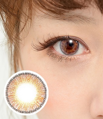 【 Yearly / 2 Lenses】 Sugar Brown / 1669